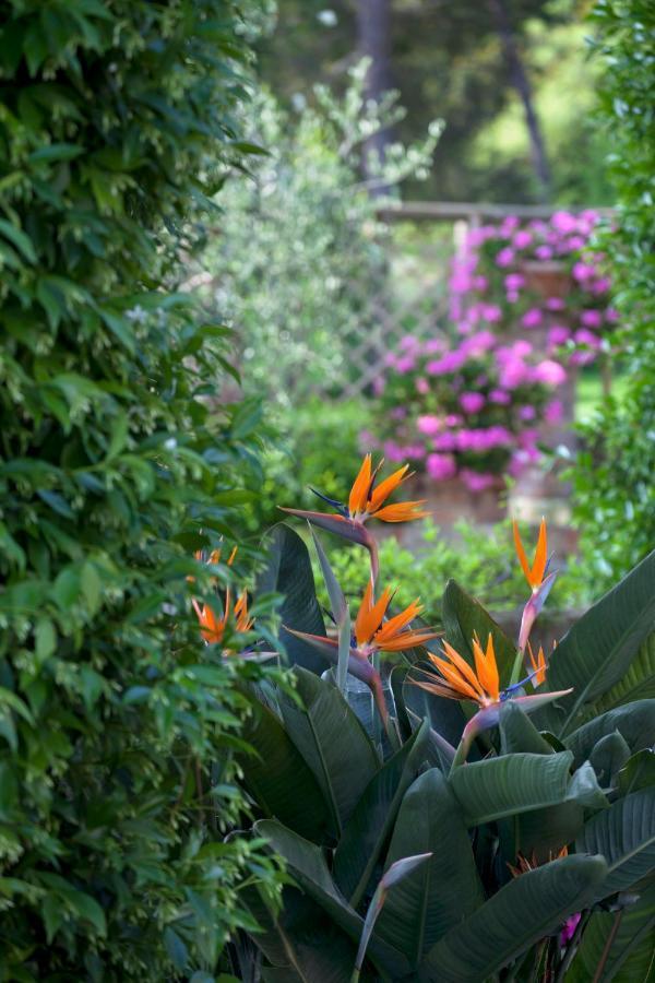 La Cervara Panzió Santa Margherita Ligure Kültér fotó